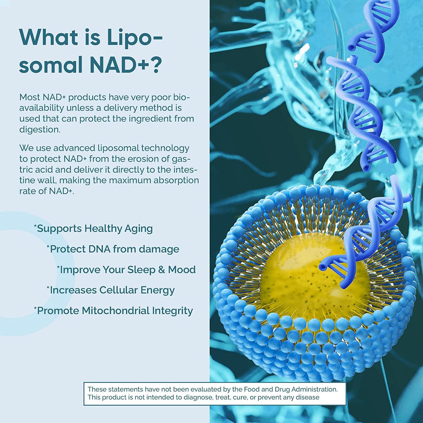 Lumora NAD+ Supplement