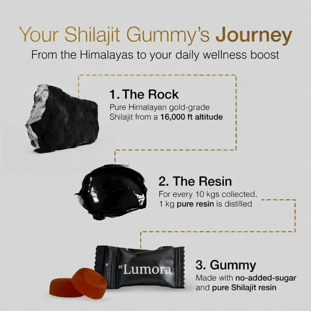 Himalayan Shilajit Gummies